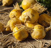 Maca Root GlucoTonic's Ingredient